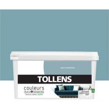 Peinture Couleurs pour Murs et Boiseries Tollens Toutes pièces - Ultra résistante - Satin - Bleu Scandinave - 2,5L = 30m2
