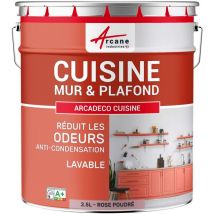 Peinture cuisine lessivable absorbe les odeurs - 2.5 l Rose poudré - ral 010 70 15 Arcane Industries