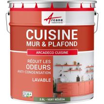 Peinture cuisine lessivable absorbe les odeurs - 2.5 l Vert Réséda - ral 6011 Arcane Industries
