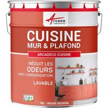 Arcane Industries - Peinture cuisine lessivable absorbe les odeurs - 10 l Rouge saumon - ral 3022