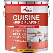 Arcane Industries - Peinture cuisine lessivable absorbe les odeurs - 10 l Jaune citron - ral 1012