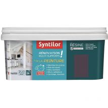 Peinture de Rénovation Multi-supports Syntilor Gris graphite 2 l