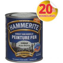 Peinture Direct Sur Rouille Forgée Acier Brossé 0,75 l Hammerite