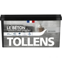 Tollens - Peinture couleurs - Effet Béton Multisupport - Mat - Gris Souris - 2L = 10m2