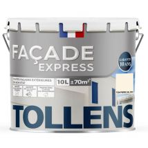 Peinture Façade express - Pour Murs Extérieurs, Murets, Abris de Jardin Tollens Mat - Ton Pierre - 10L = 70m2