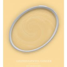 Peinture jaune gingembre mat moderne et résistante Peinture facile à appliquer Peinture The Color Kitchen TCK5004 5L