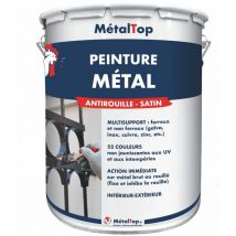 Metaltop - Peinture Metal - Pot 5 l - 6015 - Olive noir