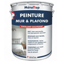 Metaltop - Peinture Mur Et Plafond - Pot 15 l - 7023 - Gris béton
