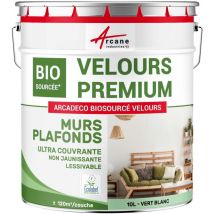 Peinture mur et plafond satin velours biosourcée - 10 l (+ ou - 120m² par couche) Vert Blanc - ral 6019 Arcane Industries