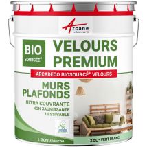 Arcane Industries - Peinture mur et plafond satin velours biosourcée - 2.5 l (+ ou - 30m² par couche) Vert Blanc - ral 6019