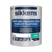 Peinture murs et plafonds 1L Blanc velours