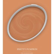 Peinture orange persan mat moderne et résistante Peinture facile à appliquer Peinture The Color Kitchen TCK5011 5L