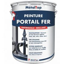 Metaltop - Peinture Portail Fer - Pot 15 l - 6027 - Vert clair