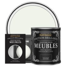 Peinture pour Meubles Brillante - Mousse de Lait