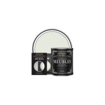 Peinture pour Meubles Brillante - Sauge