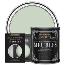 Peinture pour Meubles Brillante - Vert Laurier