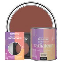 Peinture pour Radiateur, Finition Brillante - Rouge Brique