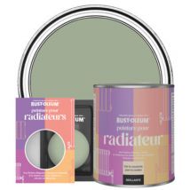 Peinture pour Radiateur, Finition Brillante - Vert Kaki