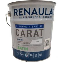 Renaulac - Peinture pro mur et plafond satin ral au choix 1L ral 7047 telegris 4