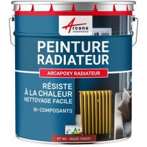 Peinture Radiateur - Fonte acier alu chauffage toutes couleurs peinture radiateur - 1 kg (jusqu'à 5 m² en 2 couches) Rouge Tomate - ral 3013 Arcane