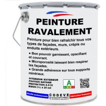 Codève Bois - Peinture Ravalement - 4x5 l - Codeve Bois - ral 7035 - Gris clair - Pour La Protection De Votre Façade, Mur, Béton, Crépi Ou Enduit.