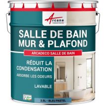 Peinture salle de bain mur plafond condensation - 2.5 L Bleu Pastel - RAL 5024 - ARCANE INDUSTRIES