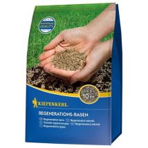Kiepenkerl - Pelouse de régénération 250