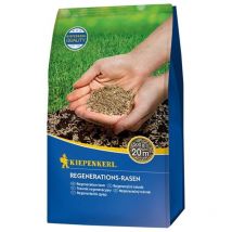 Kiepenkerl - Pelouse de régénération 500