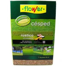 Flower - graines de gazon rustique 1 kg (boite) 10788 fleur