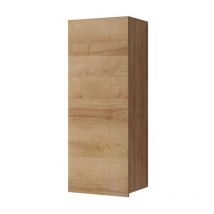 Pensile Providence B126, Quercia dorata, 117x45cm, Il numero di porte: 032cm, Truciolare laminato