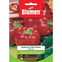 Peperone quadrato d'asti rosso Blumen sementi orto