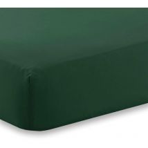 Kampala Hill - Percale Extra Deep Fitted Sheet 180TC Polycotton Soft Durable Green Double