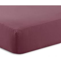 Kampala Hill - Percale Fitted Sheet 10' (23cm) Deep Sheets 180TC Polycotton Soft Durable Plum King