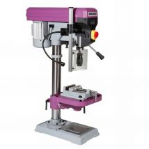 Perceuse d'établi pe 22 fe Tri - 400V 750W - 20502051 Sidamo