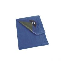 Impuesto, 20 Ojales, ángulos Reforzados, rectangulares, Azul/Verde, 70 g/m², 2 x 8 m - Perel