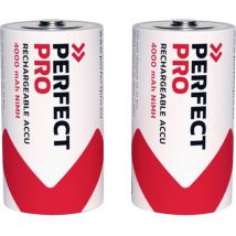 Batteria ricaricabile 1/2 Torcia NiMH 4000 mAh 1.2 v 2 pz. - Perfectpro