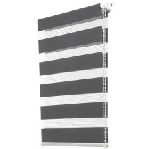 Persiana enrollable que oculta Gris 45 x 170 - OSE