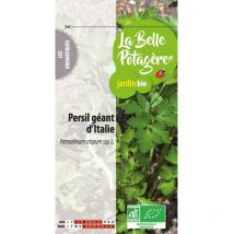 Persil géant d'Italie 2 g