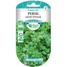 Graines persil géant d'Italie bio Les Doigts Verts