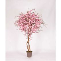 Pesco Seminaturale • Fiori Rosa • Tronco Mansanisi - 150