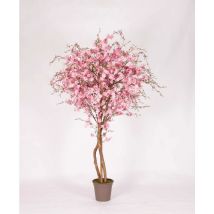 Pesco Seminaturale • Fiori Rosa • Tronco Mansanisi - 125