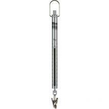 Pesola - Peson Micro 10g