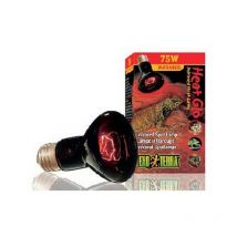 Heatglo Infrared Lamp R20 75w - 544154 - Exo Terra