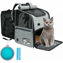 Héloise - Pet Carrier Backpack for Cats, Expandable Pet Carrier Backpack with Breathable Mesh Multiple Access, Adjustable, 37x29x37.5 cm, Transport