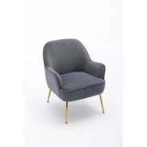Modern Soft Velvet fabric Ergonomics Accent Chair Living Room Chair Bedroom Home Chair With Gold Legs And Adjustable Legs For Indoor Home, Grey l&h