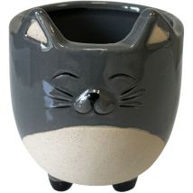 Petit cache pot chat gris 10 cm