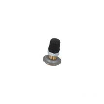 Pièces et accessoires réservoir - Valve de gonflage 5 à 100 L - 21 mm de Varem