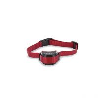 Collier Supplémentaire Chiens Têtus Pour Clôture Stay & Play Cynnotek Cy3596