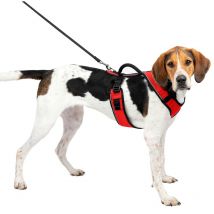 Petsafe Pettorina Easysport Petsafe: Pettorina Per Cani Imbottita e Regolabile Con Impugnatura e Bordo Riflettente - 340 Gr