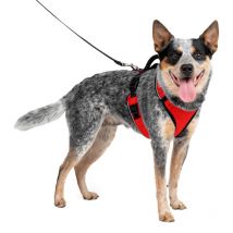 PetSafe EasySport – Imbracatura